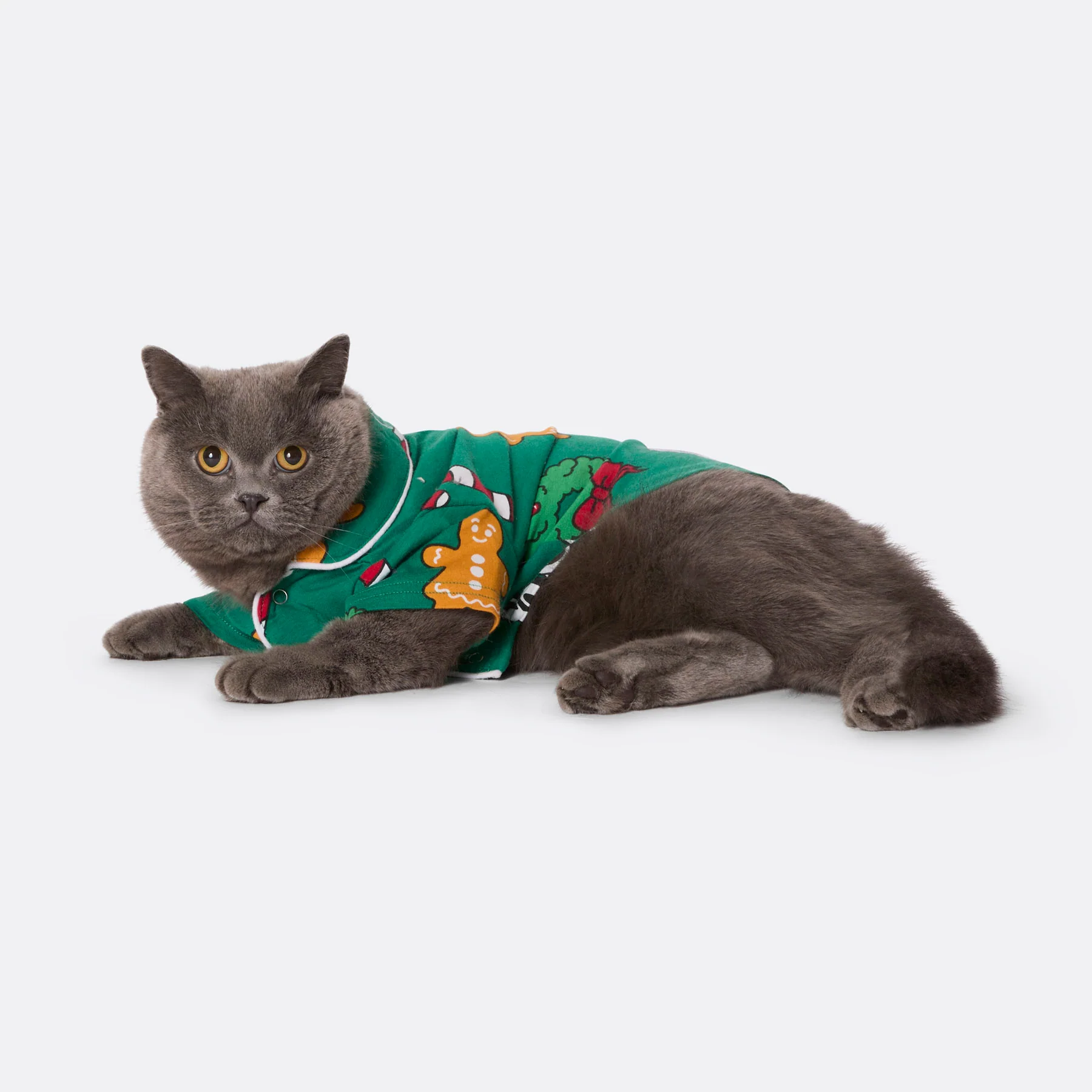 Hohoho Grønn Julepysj til Katt - Image 2