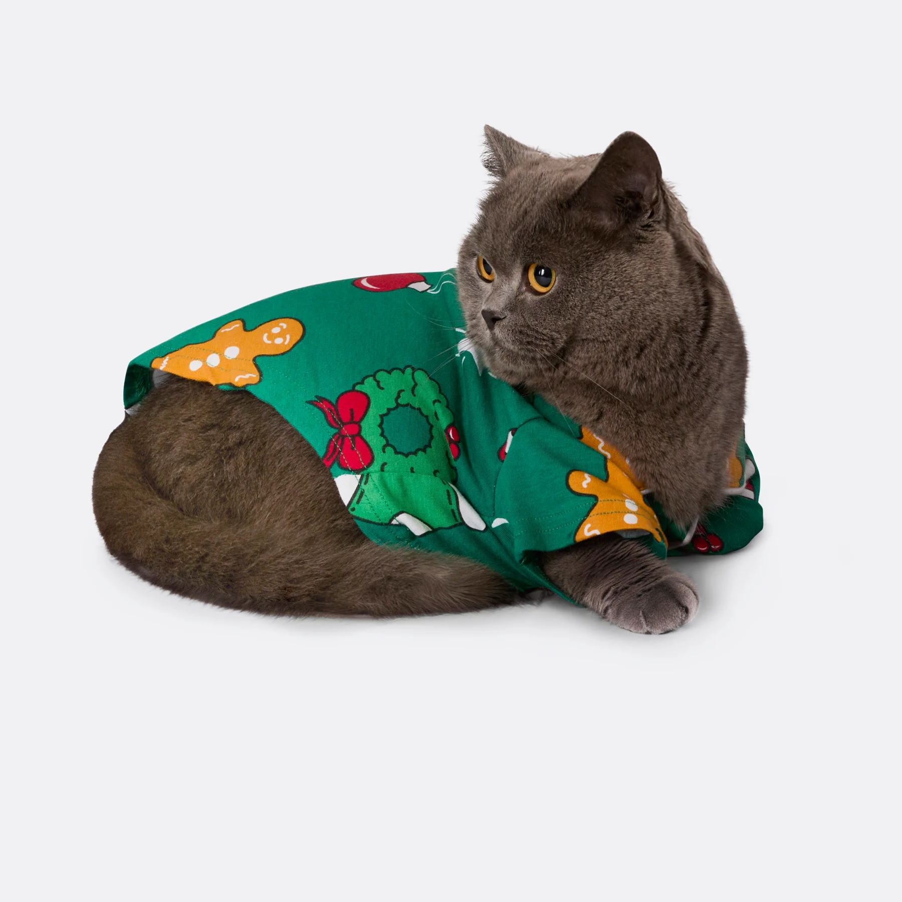 Hohoho Grønn Julepysj til Katt - Image 3