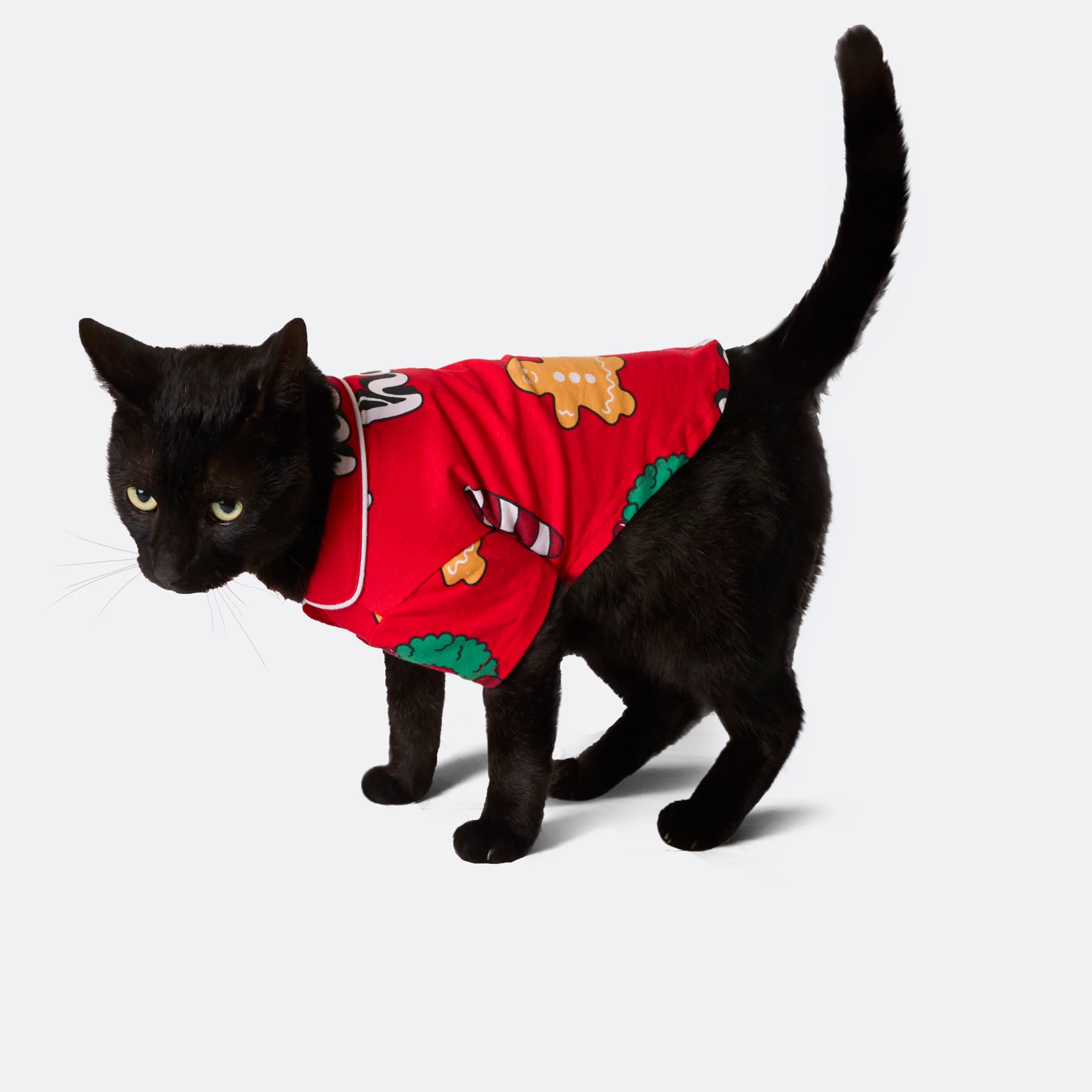 Hohoho Rød Julepysj til Katt - Image 2