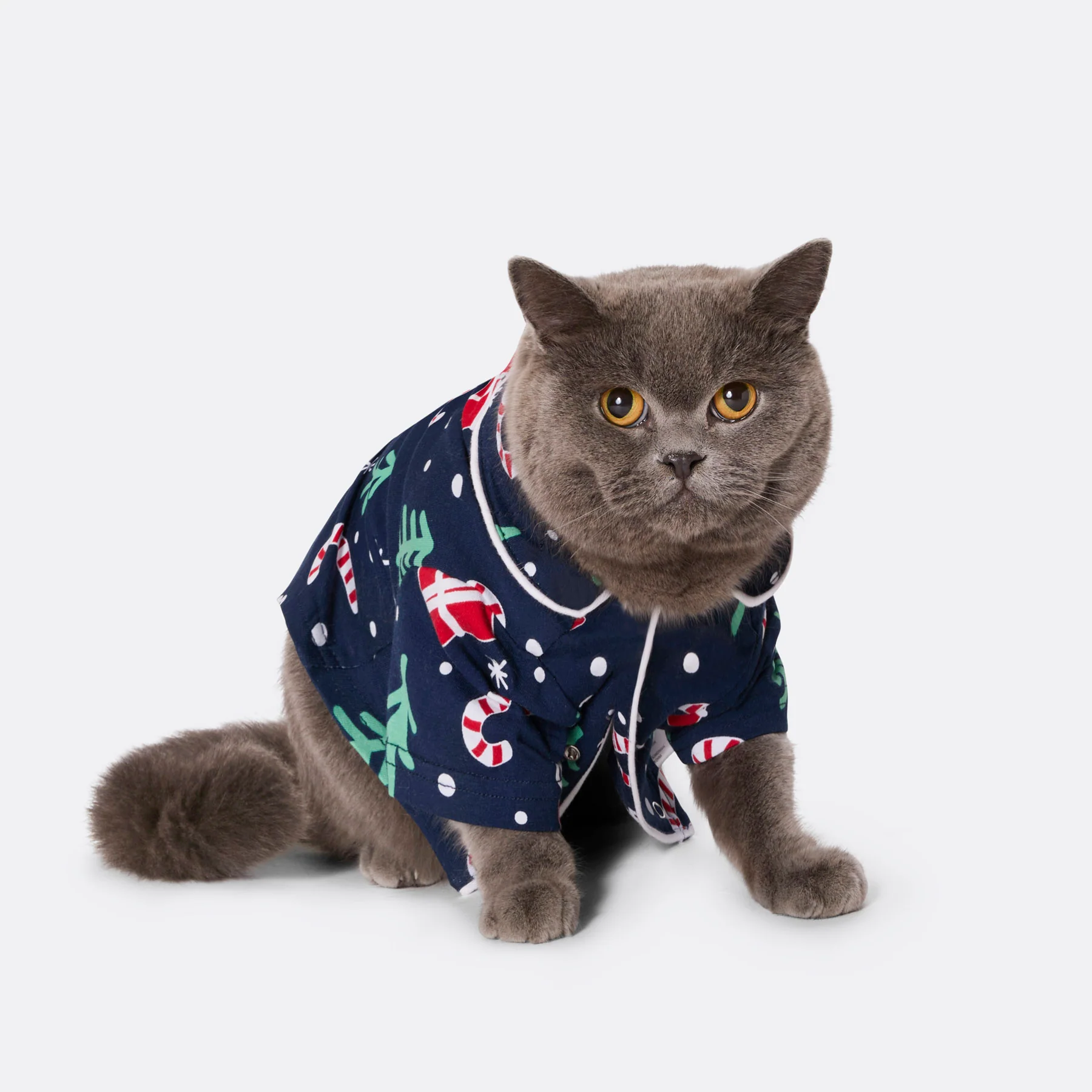 Julemønster Blå Julepysj til Katt - Image 2