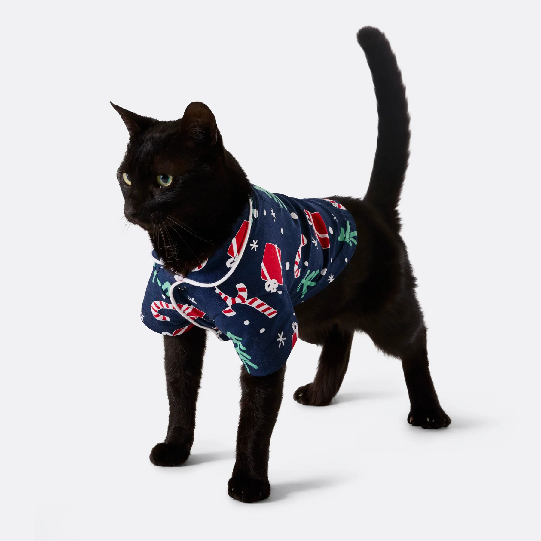 Julemønster Blå Julepysj til Katt - Image 4