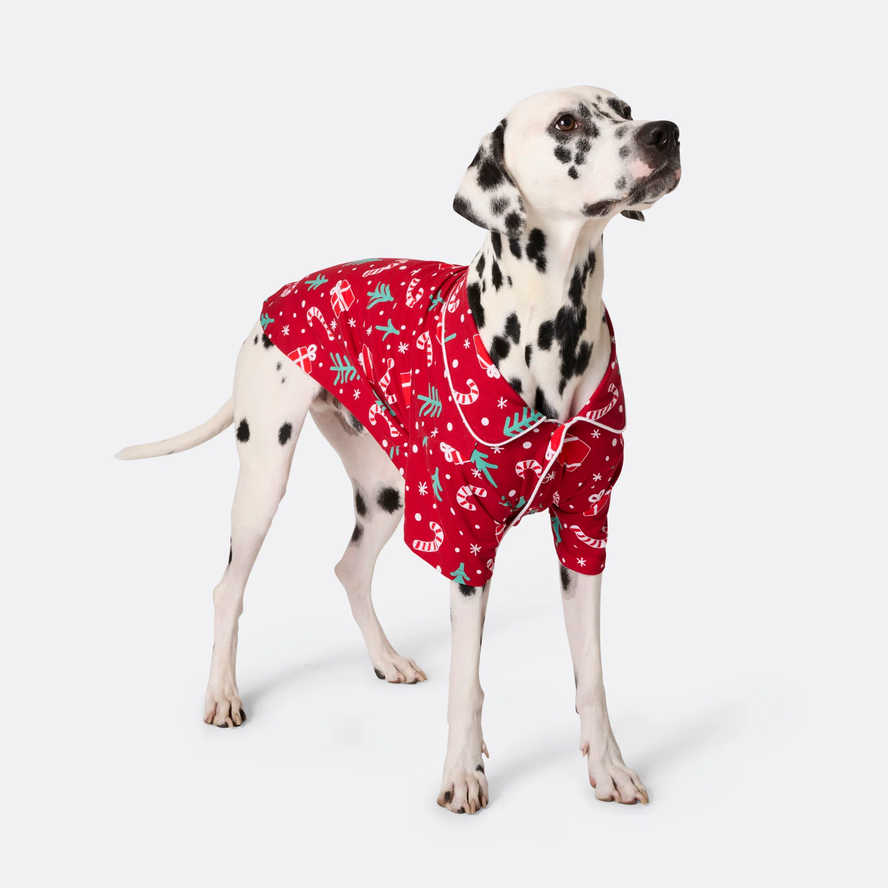 Julemønster Rød Julepysj til Hund - Image 3