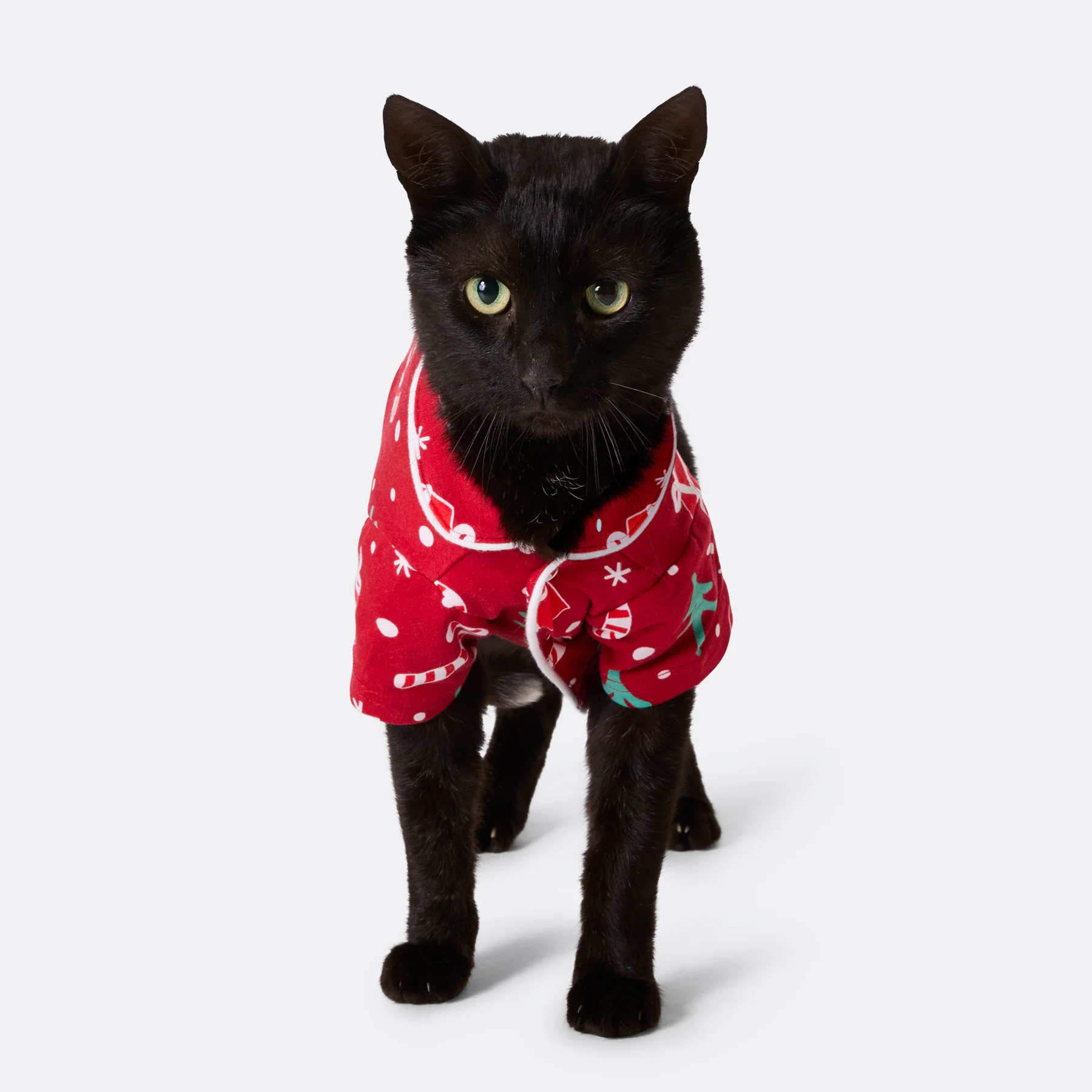 Julemønster Rød Julepysj til Katt - Image 2