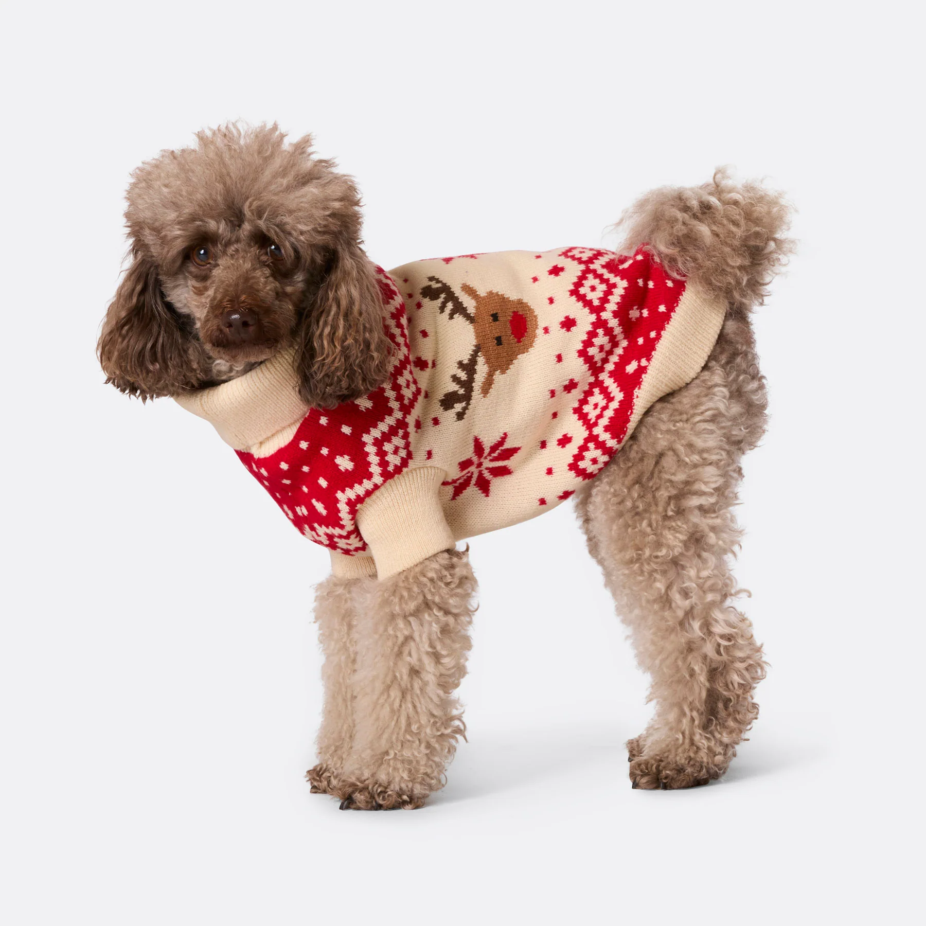 Retro Reinsdyr Rød Julegenser til Hund - Image 4